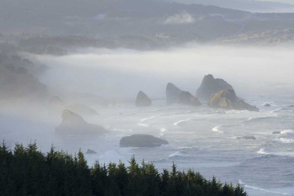 Oregon, Gold Beach Foggy morning on seashore